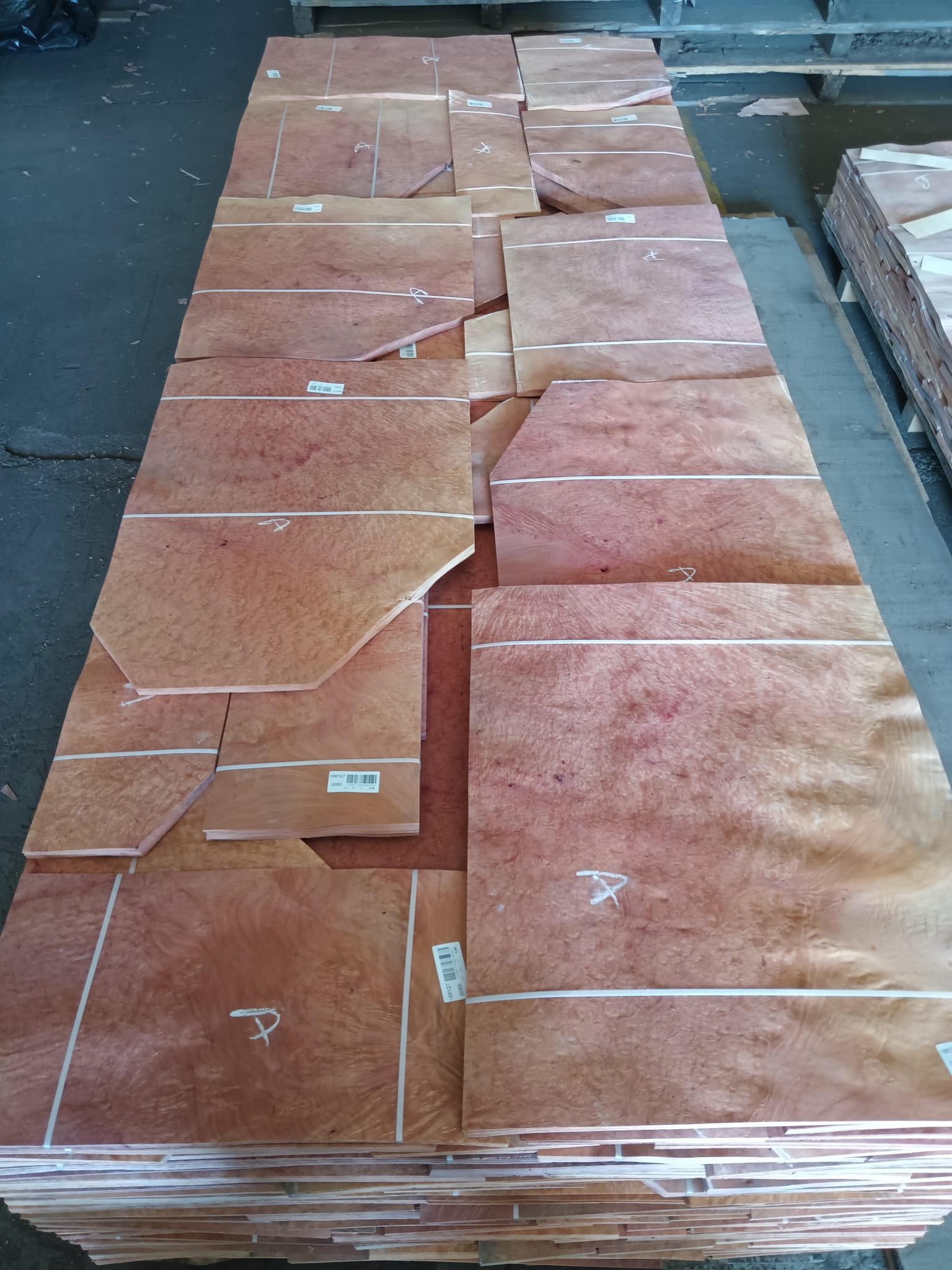 Madrone Burls